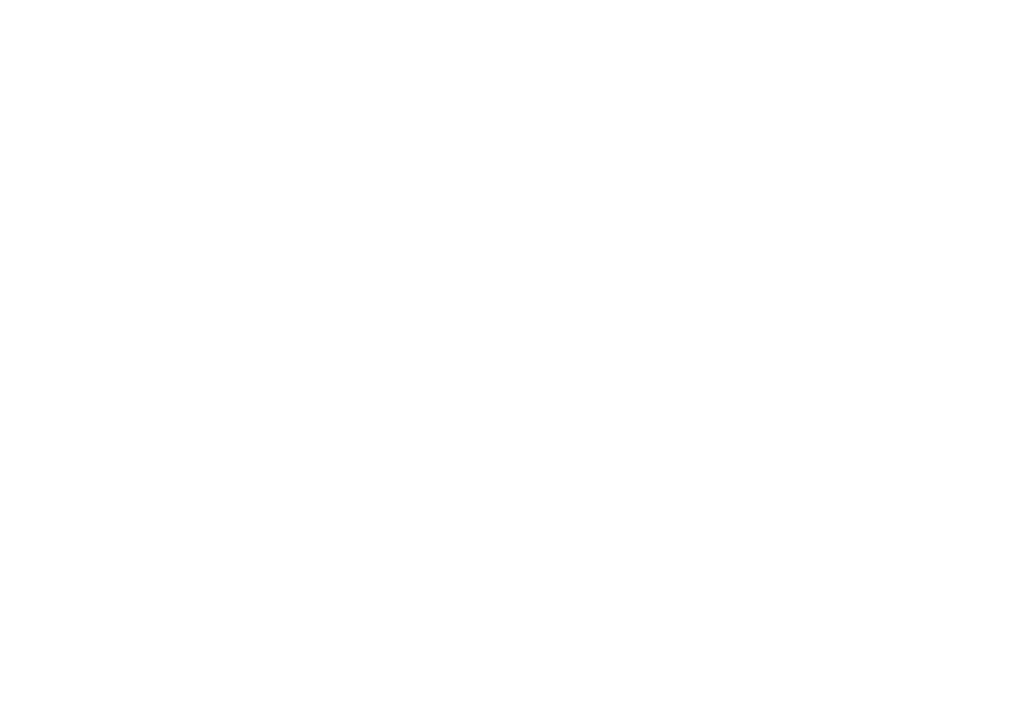 windermere icon logo